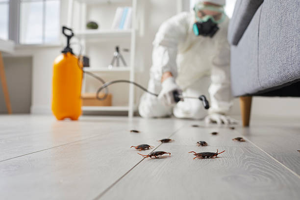Trusted Cockroach Control service in West Hills, PA - Nex Pest Control