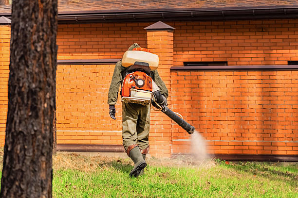 Trusted Termite Control service in West Hills, PA - Nex Pest Control